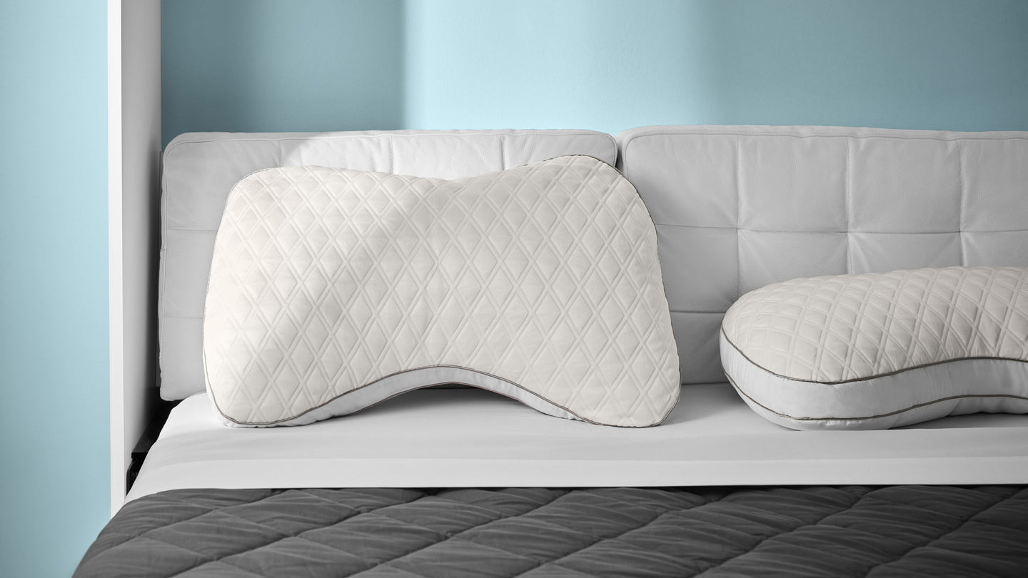 Bear Contour Pillow
