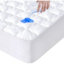 Bear Matress Protector